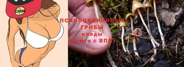 молекула духа Магадан