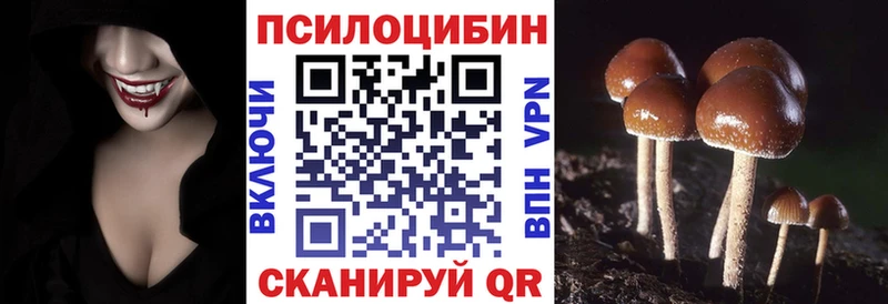 Галлюциногенные грибы Magic Shrooms  купить наркотики цена  Нижневартовск 